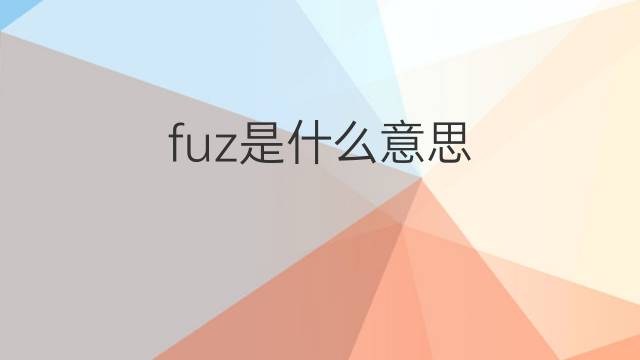 fuz是什么意思 fuz的中文翻译、读音、例句