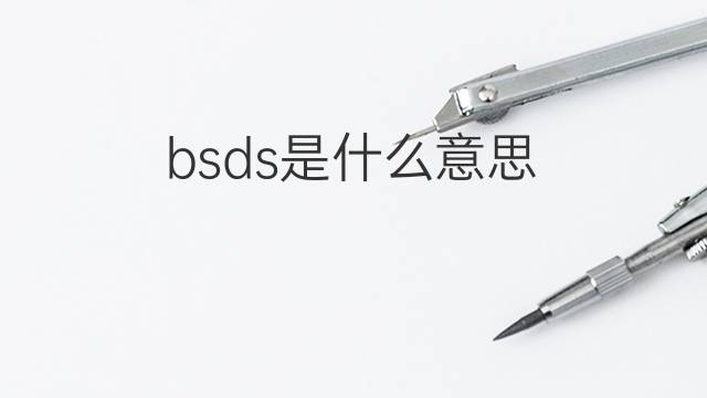 bsds是什么意思 bsds的中文翻译、读音、例句