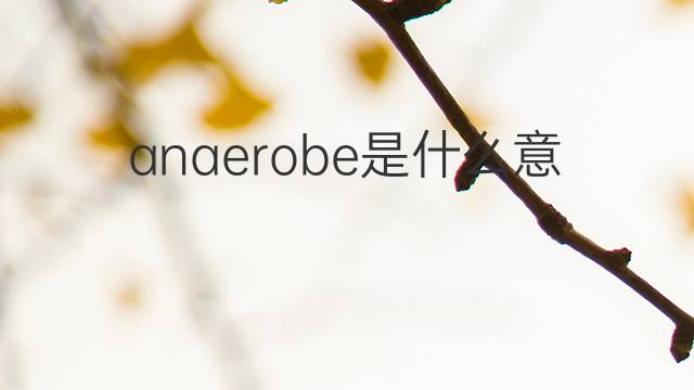 anaerobe是什么意思 anaerobe的中文翻译、读音、例句