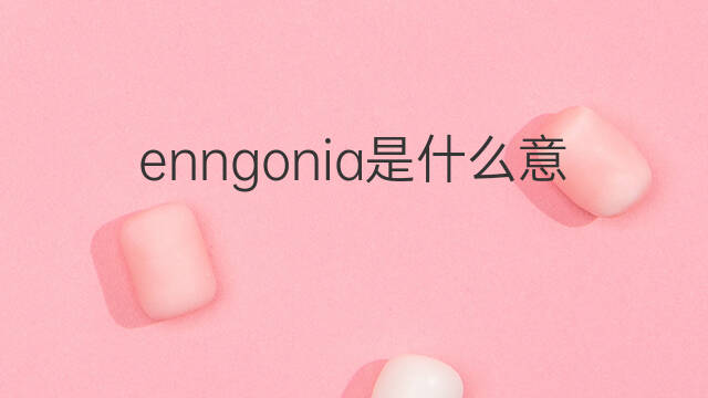 enngonia是什么意思 enngonia的中文翻译、读音、例句