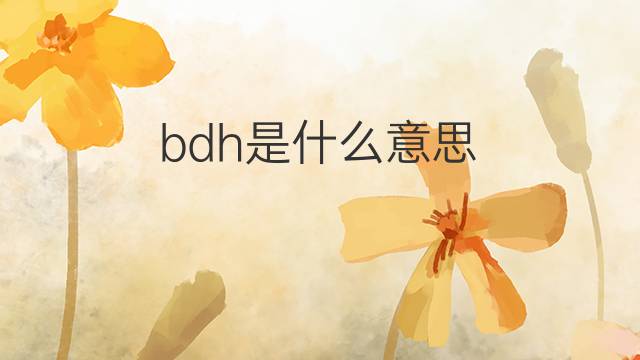 bdh是什么意思 bdh的中文翻译、读音、例句