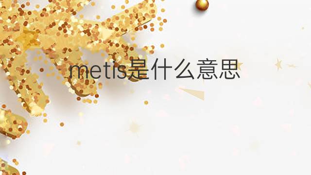metis是什么意思 metis的中文翻译、读音、例句