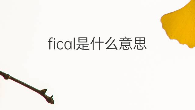 fical是什么意思 fical的中文翻译、读音、例句