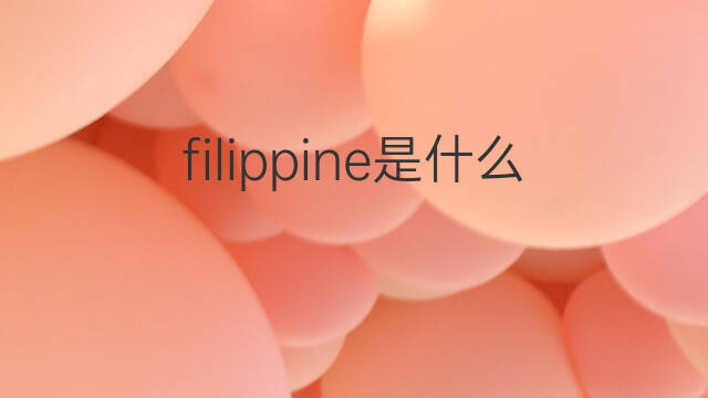 filippine是什么意思 filippine的中文翻译、读音、例句
