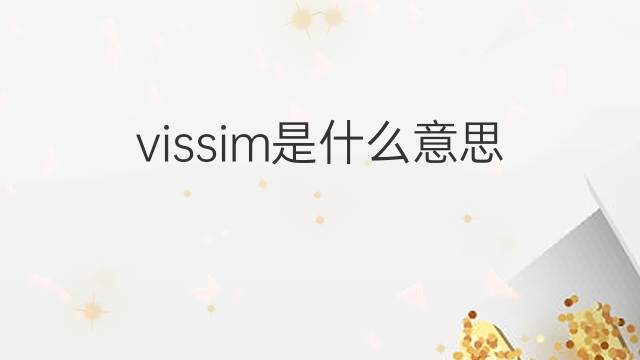 vissim是什么意思 vissim的中文翻译、读音、例句
