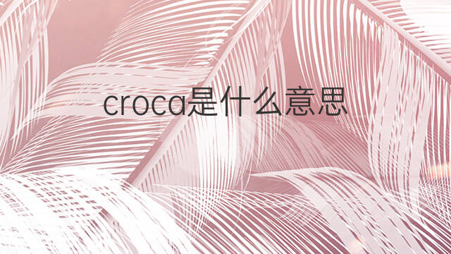 croca是什么意思 croca的中文翻译、读音、例句