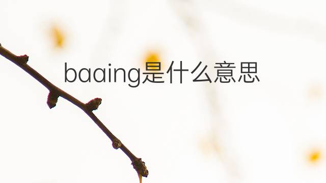 baaing是什么意思 baaing的中文翻译、读音、例句