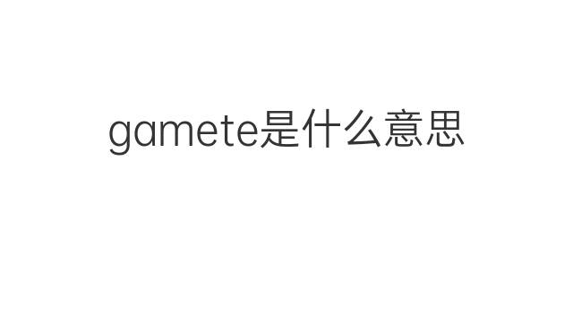 gamete是什么意思 gamete的中文翻译、读音、例句