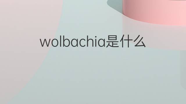 wolbachia是什么意思 wolbachia的中文翻译、读音、例句