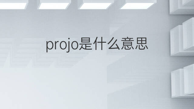 projo是什么意思 projo的中文翻译、读音、例句