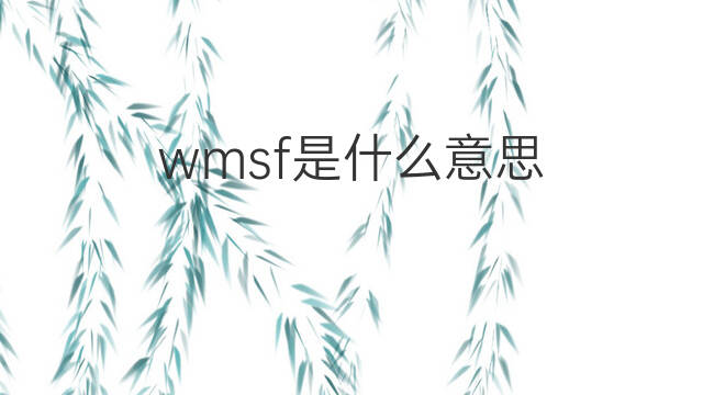 wmsf是什么意思 wmsf的中文翻译、读音、例句