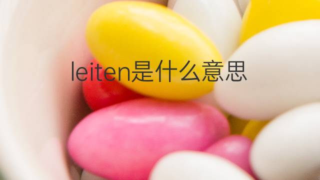 leiten是什么意思 leiten的中文翻译、读音、例句