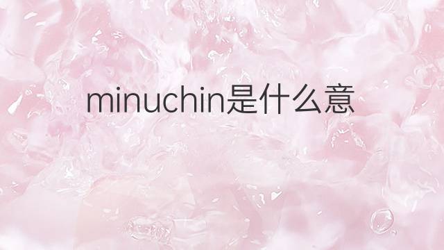 minuchin是什么意思 minuchin的中文翻译、读音、例句
