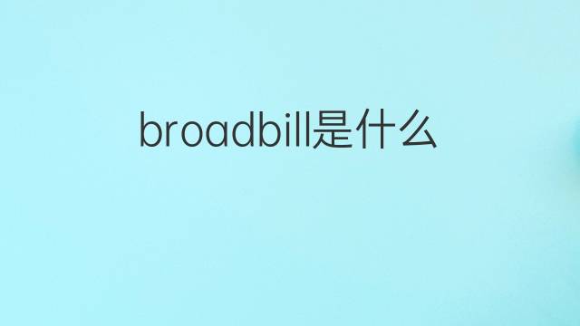 broadbill是什么意思 broadbill的中文翻译、读音、例句