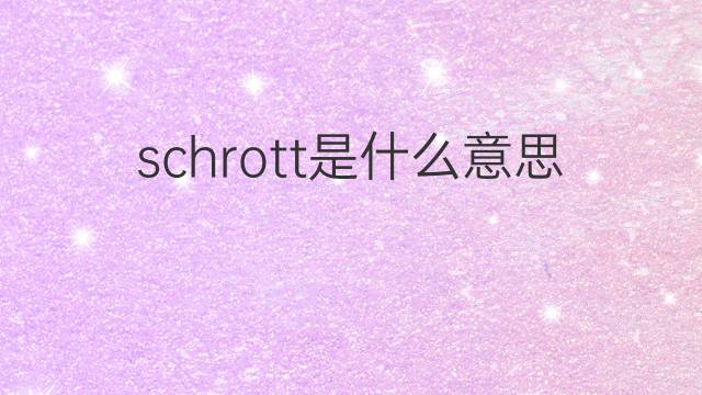 schrott是什么意思 schrott的中文翻译、读音、例句
