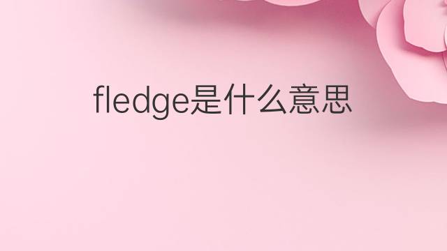fledge是什么意思 fledge的中文翻译、读音、例句
