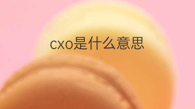 cxo是什么意思 cxo的中文翻译、读音、例句
