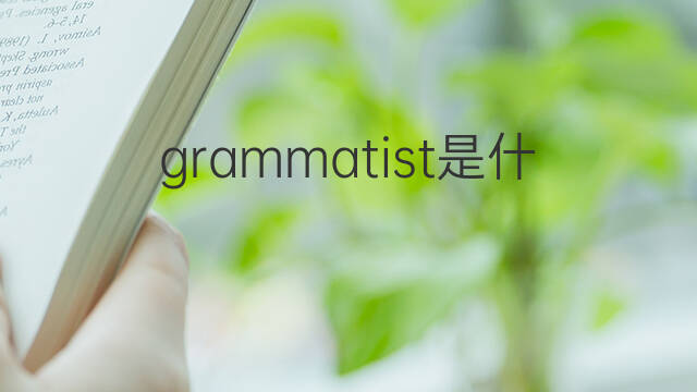 grammatist是什么意思 grammatist的中文翻译、读音、例句