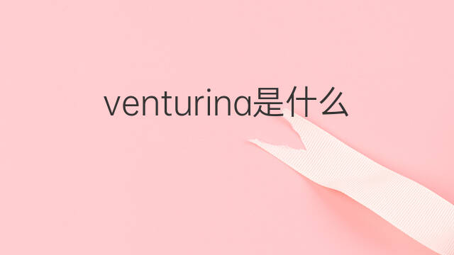 venturina是什么意思 venturina的中文翻译、读音、例句