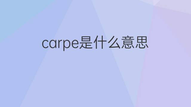 carpe是什么意思 carpe的中文翻译、读音、例句