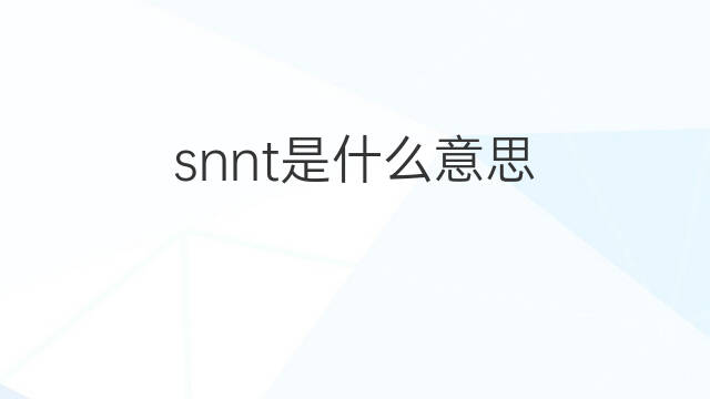 snnt是什么意思 snnt的中文翻译、读音、例句
