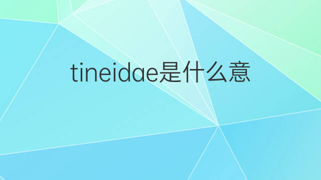 tineidae是什么意思 tineidae的中文翻译、读音、例句