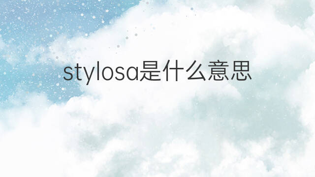 stylosa是什么意思 stylosa的中文翻译、读音、例句