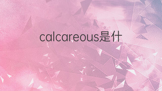 calcareous是什么意思 calcareous的中文翻译、读音、例句