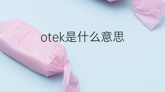 otek是什么意思 otek的中文翻译、读音、例句