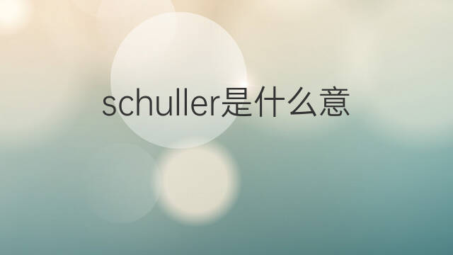 schuller是什么意思 schuller的中文翻译、读音、例句