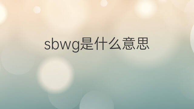 sbwg是什么意思 sbwg的中文翻译、读音、例句