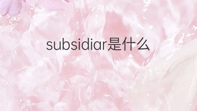 subsidiar是什么意思 subsidiar的中文翻译、读音、例句