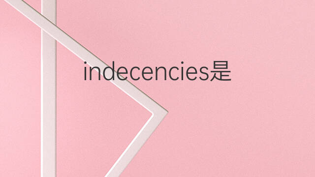 indecencies是什么意思 indecencies的中文翻译、读音、例句