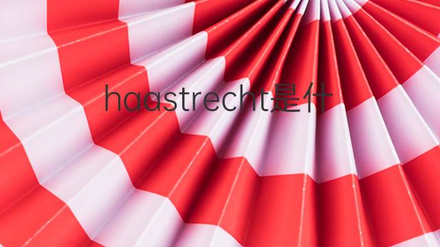 haastrecht是什么意思 haastrecht的中文翻译、读音、例句