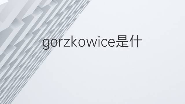 gorzkowice是什么意思 gorzkowice的中文翻译、读音、例句