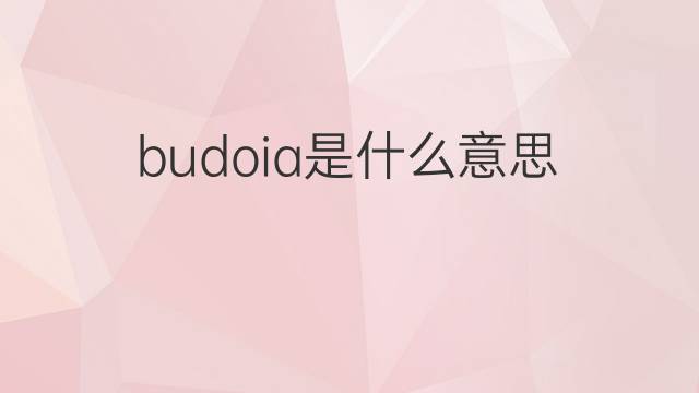 budoia是什么意思 budoia的中文翻译、读音、例句