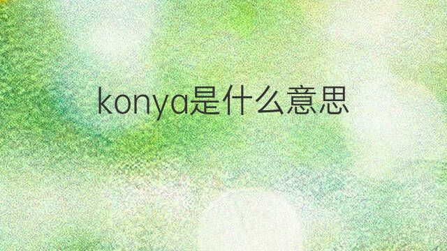 konya是什么意思 konya的中文翻译、读音、例句