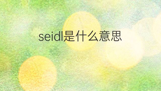 seidl是什么意思 seidl的中文翻译、读音、例句
