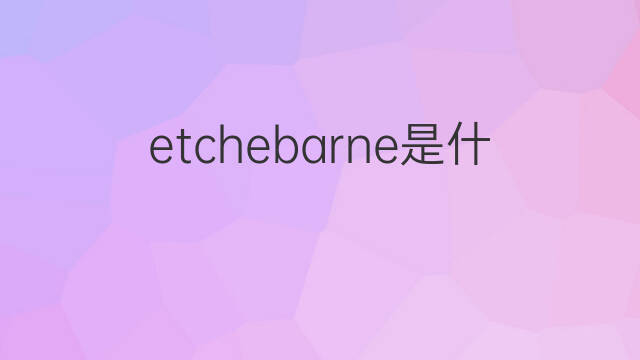 etchebarne是什么意思 etchebarne的中文翻译、读音、例句