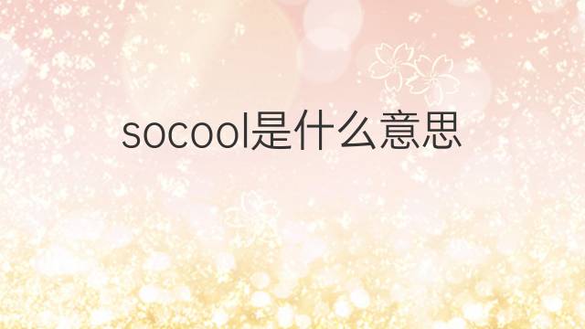 socool是什么意思 socool的中文翻译、读音、例句