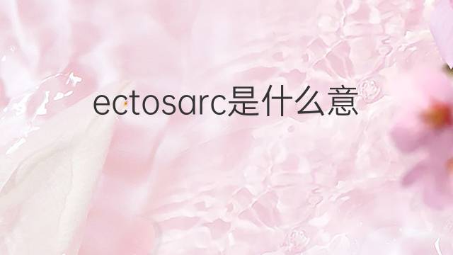 ectosarc是什么意思 ectosarc的中文翻译、读音、例句