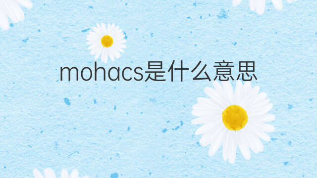 mohacs是什么意思 mohacs的中文翻译、读音、例句