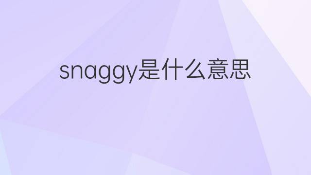 snaggy是什么意思 snaggy的中文翻译、读音、例句