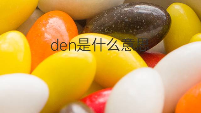 den是什么意思 den的中文翻译、读音、例句
