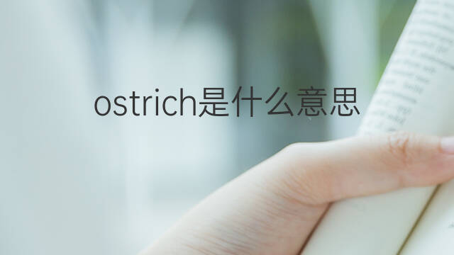 ostrich是什么意思 ostrich的中文翻译、读音、例句