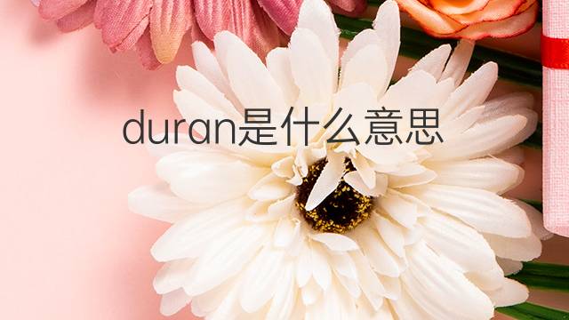 duran是什么意思 duran的中文翻译、读音、例句