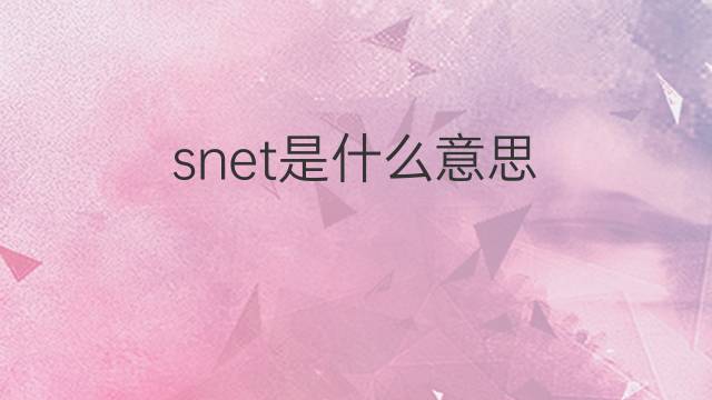 snet是什么意思 snet的中文翻译、读音、例句