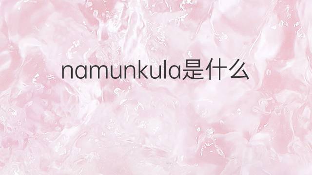 namunkula是什么意思 namunkula的中文翻译、读音、例句