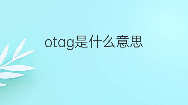 otag是什么意思 otag的中文翻译、读音、例句