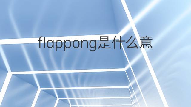 flappong是什么意思 flappong的中文翻译、读音、例句